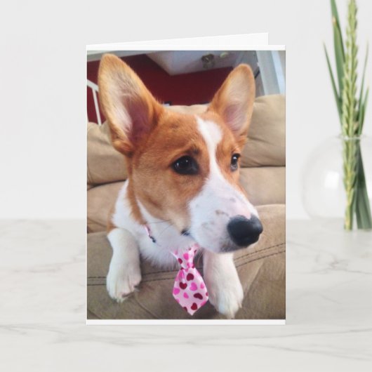 Carte Corgi Valentine's Day (Devant)