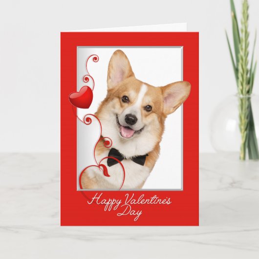 Carte Corgi Valentine's Day (Devant)