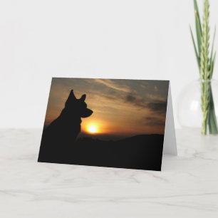 Carte Corgi vierge au coucher du soleil