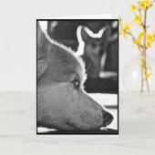 Carte Corgi vous manquant (Fleur jaune)