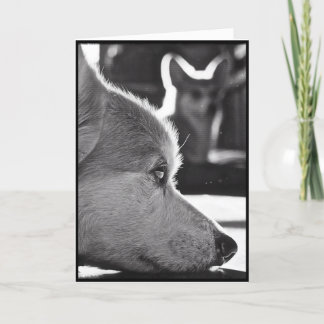 Carte Corgi vous manquant