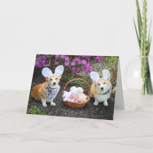 Carte Corgis du lapin de Pâques saluant (Devant)