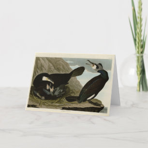 Carte Cormorant commun - d'Audubon's Birds of America