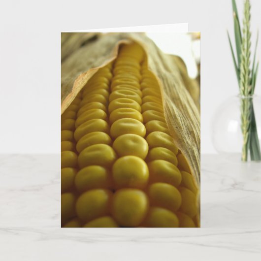 Carte Corn close up greetingcard (Devant)