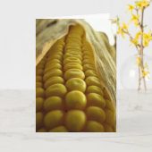 Carte Corn close up greetingcard (Fleur jaune)