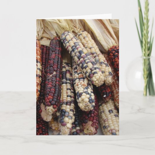 Carte Corn indien (Devant)