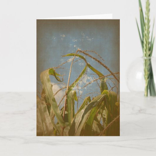 Carte Corn Rural Grunge Toutes Les Occasions (Devant)