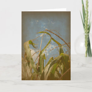 Carte Corn Rural Grunge Toutes Les Occasions