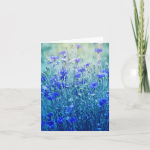 Carte Cornfleurs