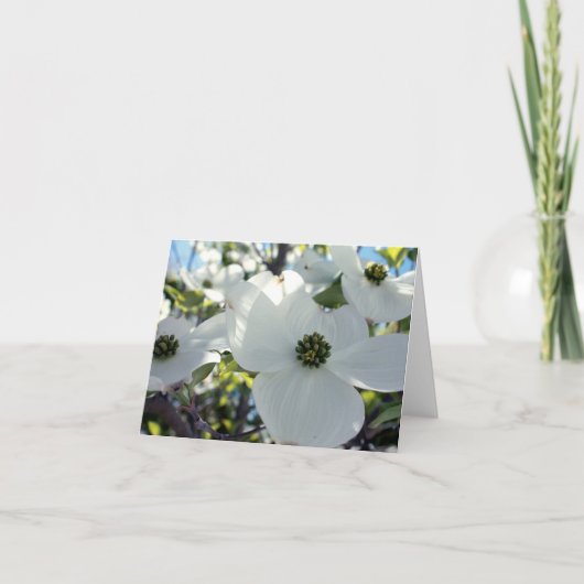 Carte Cornouillers (Devant)