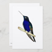 Carte Coronet Hummingbird (Devant / Derrière)