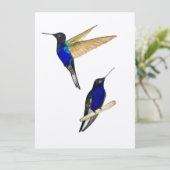 Carte Coronet Hummingbirds (Debout devant)