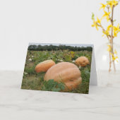 Carte Correctif citrouille (Fleur jaune)