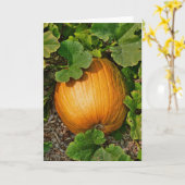 Carte Correction de citrouille (Fleur jaune)