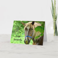 Corse Brown Belgian Draft Photo Sympathy