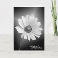 Cosmos blanc sympathique sur noir
