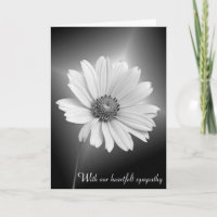 Cosmos blanc sympathique sur noir