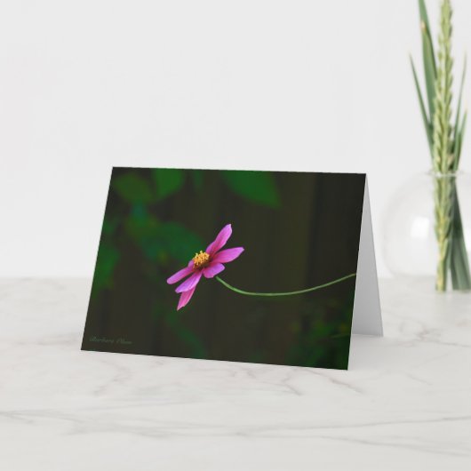 Carte Cosmos Fleurs-Gratitude : avec devis (Devant)