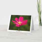 Carte Cosmos rose (Bordé) (Dos)
