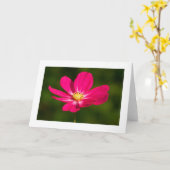 Carte Cosmos rose (Bordé) (Fleur jaune)