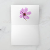 Carte Cosmos roses (Intérieur)