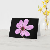 Carte Cosmos roses (Fleur jaune)