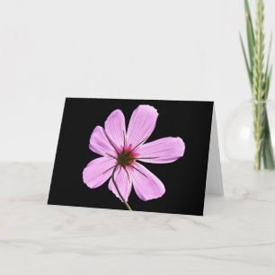 Carte Cosmos roses