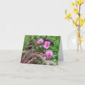 Carte Cosmos roses avec Coleus (Fleur jaune)