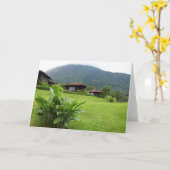 Carte Costa Rica, volcan arénal, (Fleur jaune)