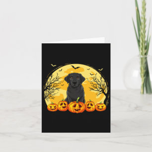 Carte Costume d'Halloween citrouilles chien Labrador noi