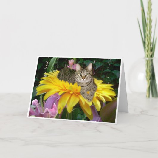 Carte Côté ensoleillé de la rue (Devant)