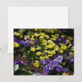 Carte Coteau de panneaux violets et jaunes (Devant / Derrière)