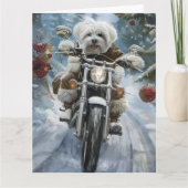 Carte Coton De Tulear Chien équitation Moto Noël (Devant)