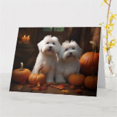 Carte Coton De Tulear Chiot Automne Citrouille délice (Fleur jaune)