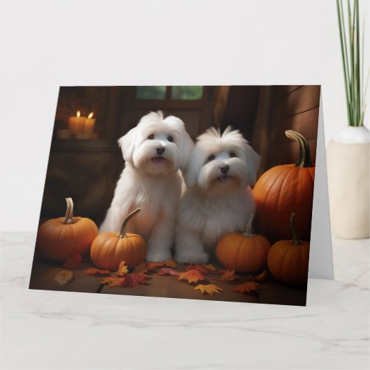 Carte Coton De Tulear Chiot Automne Citrouille délice (Devant)