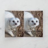 Carte Coton La Meerkat Blanche, Anniversaire (Intérieur)