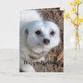 Carte Coton La Meerkat Blanche, Anniversaire (Fleur jaune)