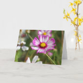 Carte Cottage jardin, Rosalinde (Fleur jaune)