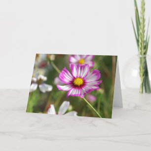 Carte Cottage jardin, Rosalinde