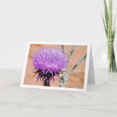 Carte Cotton Thistle, Plante de l'Onopordum (Devant)