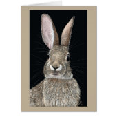 Carte Cottontail Rabbit (Devant)