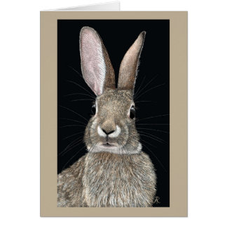 Carte Cottontail Rabbit