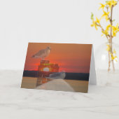 Carte Coucher de soleil avec mouettes (Fleur jaune)