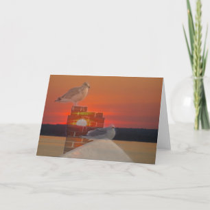 Carte Coucher de soleil avec mouettes