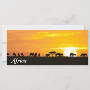 Carte Coucher de soleil dans le Serengeti