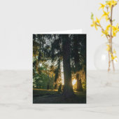 Carte Coucher de soleil du cimetière (Fleur jaune)