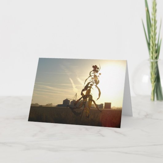 Carte Coucher de soleil le matin, Iowa (Devant)