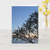 Carte coucher de soleil silhouette (Fleur jaune)