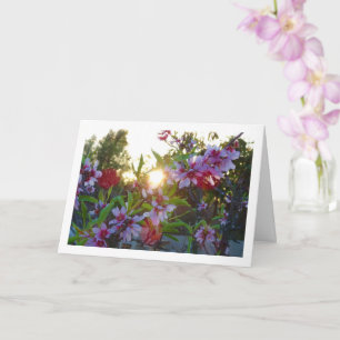 Carte Coucher de soleil sur la fleur d'amande
