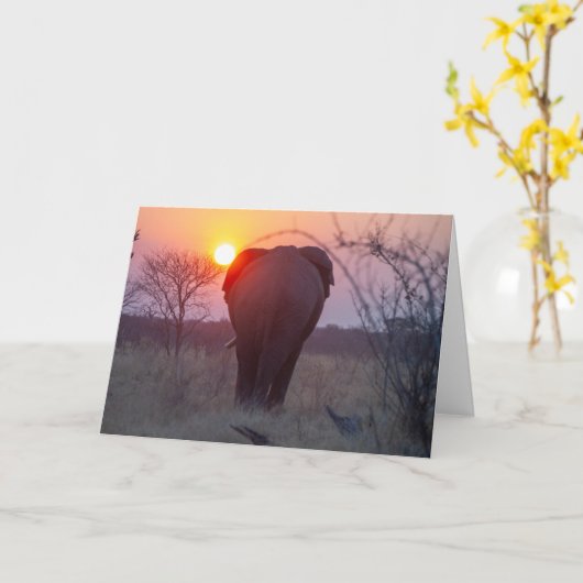Carte Coucher de soleil sur l'éléphant africain (Fleur jaune)